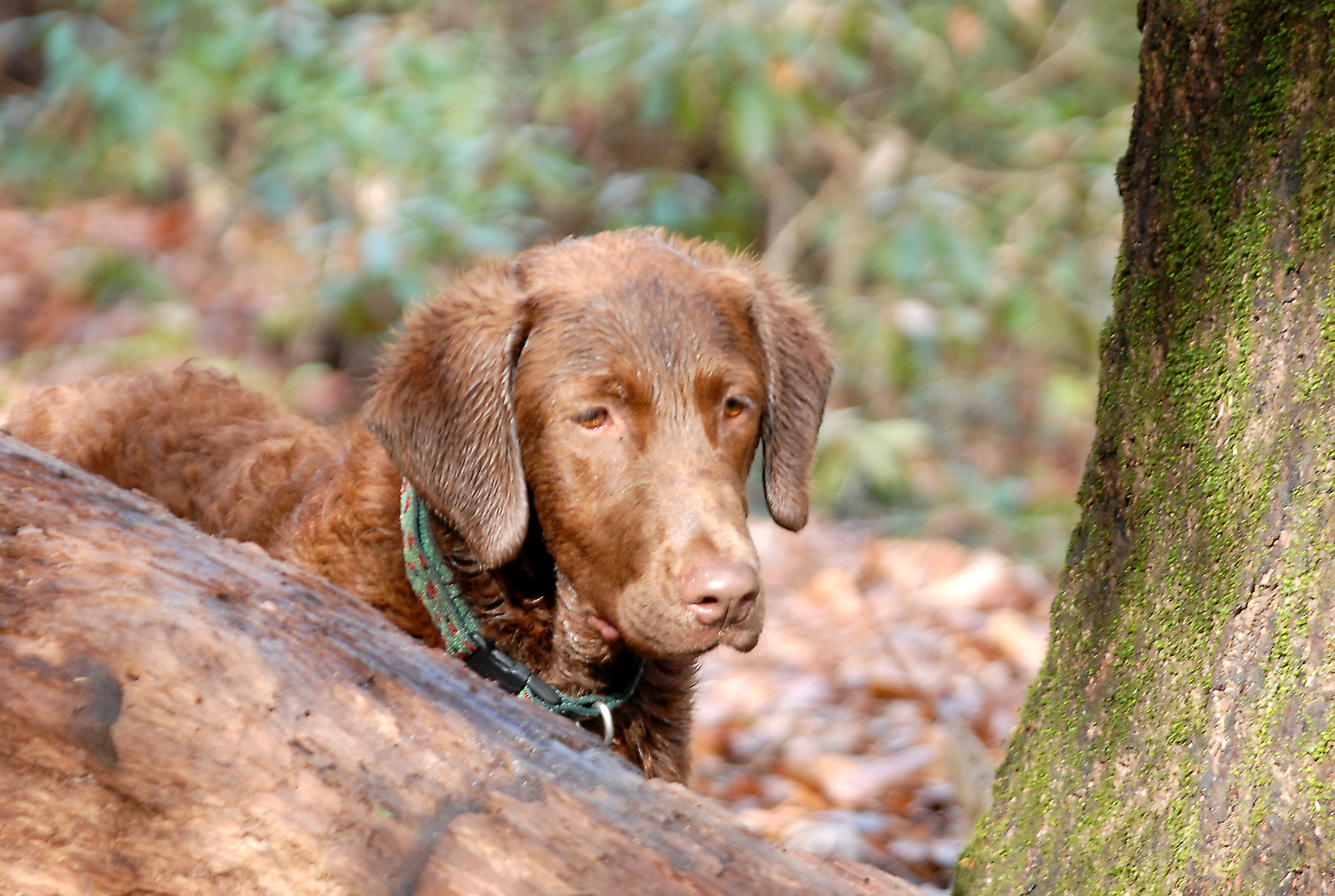 DSC_0125_edited.JPG